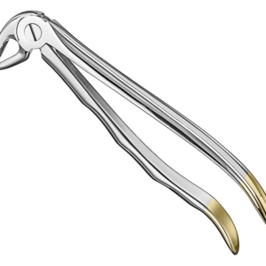 Extracting Forceps Anatom
