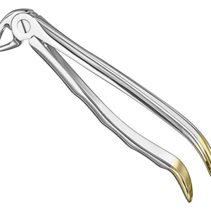 Extracting Forceps Anatom