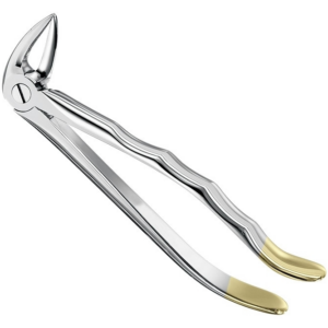 Extracting Forceps Anatom