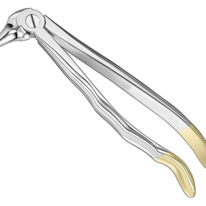 Extracting Forceps Anatom