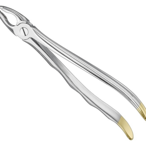 Extracting Forceps Anatom