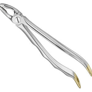 Extracting Forceps Anatom