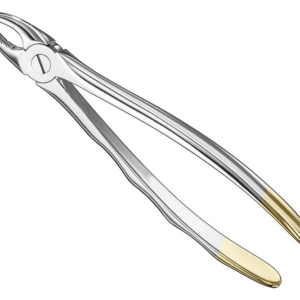 Extracting Forceps Anatom