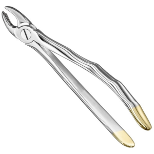 Extracting Forceps Anatom