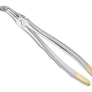 Extracting Forceps Anatom