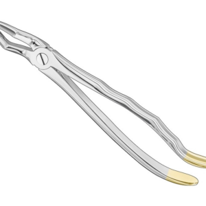 Extracting Forceps Anatom