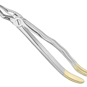 Extracting Forceps Anatom