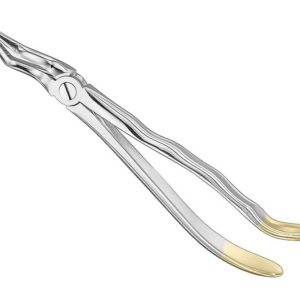 Extracting Forceps Anatom