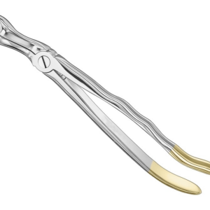 Extracting Forceps Anatom