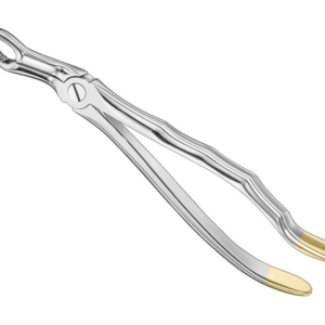 Extracting Forceps Anatom