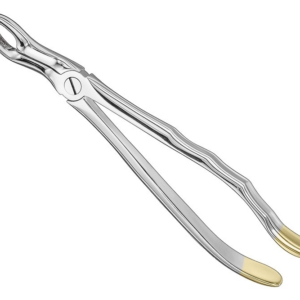 Extracting Forceps Anatom