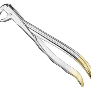 Extracting Forceps Anatom
