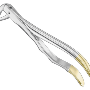 Extracting Forceps Anatom