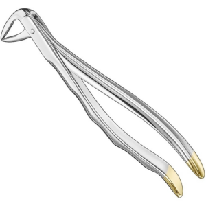 Extracting Forceps Anatom