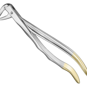 Extracting Forceps Anatom