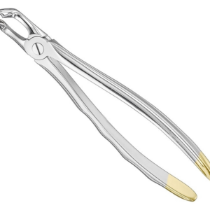 Extracting Forceps Anatom