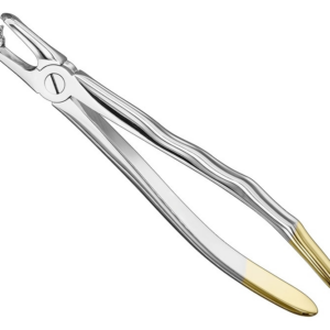 Extracting Forceps Anatom
